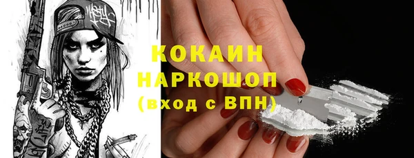 хмурый Арсеньев