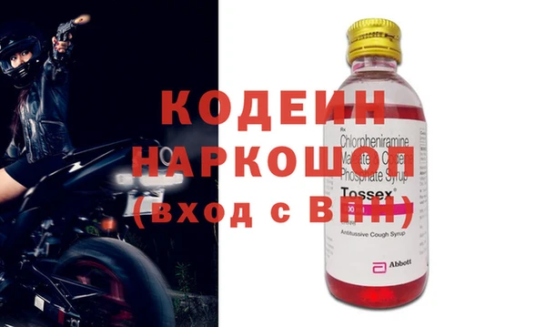 хмурый Арсеньев
