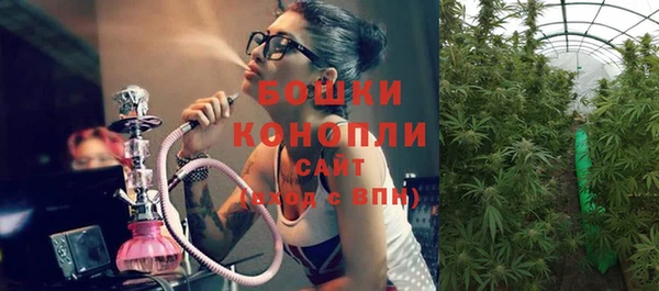 хмурый Арсеньев