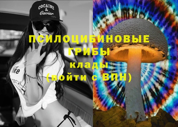 не бодяженный Аркадак