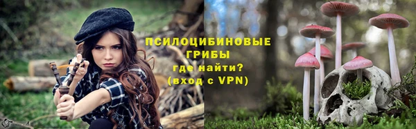 хмурый Арсеньев