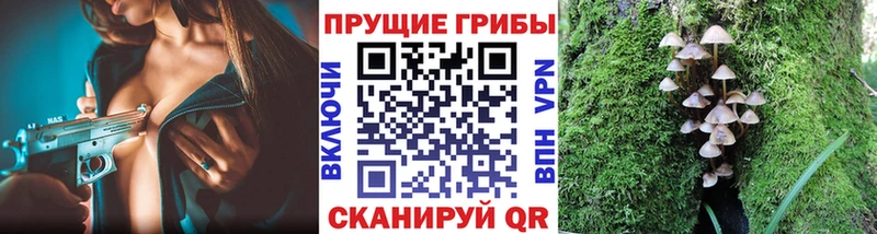 закладки  Сольвычегодск  Псилоцибиновые грибы GOLDEN TEACHER 